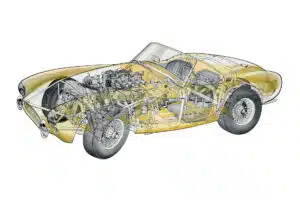 les 10 cobra importantes octane 7
