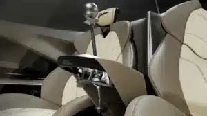 alisea pagani zonda tribute 8