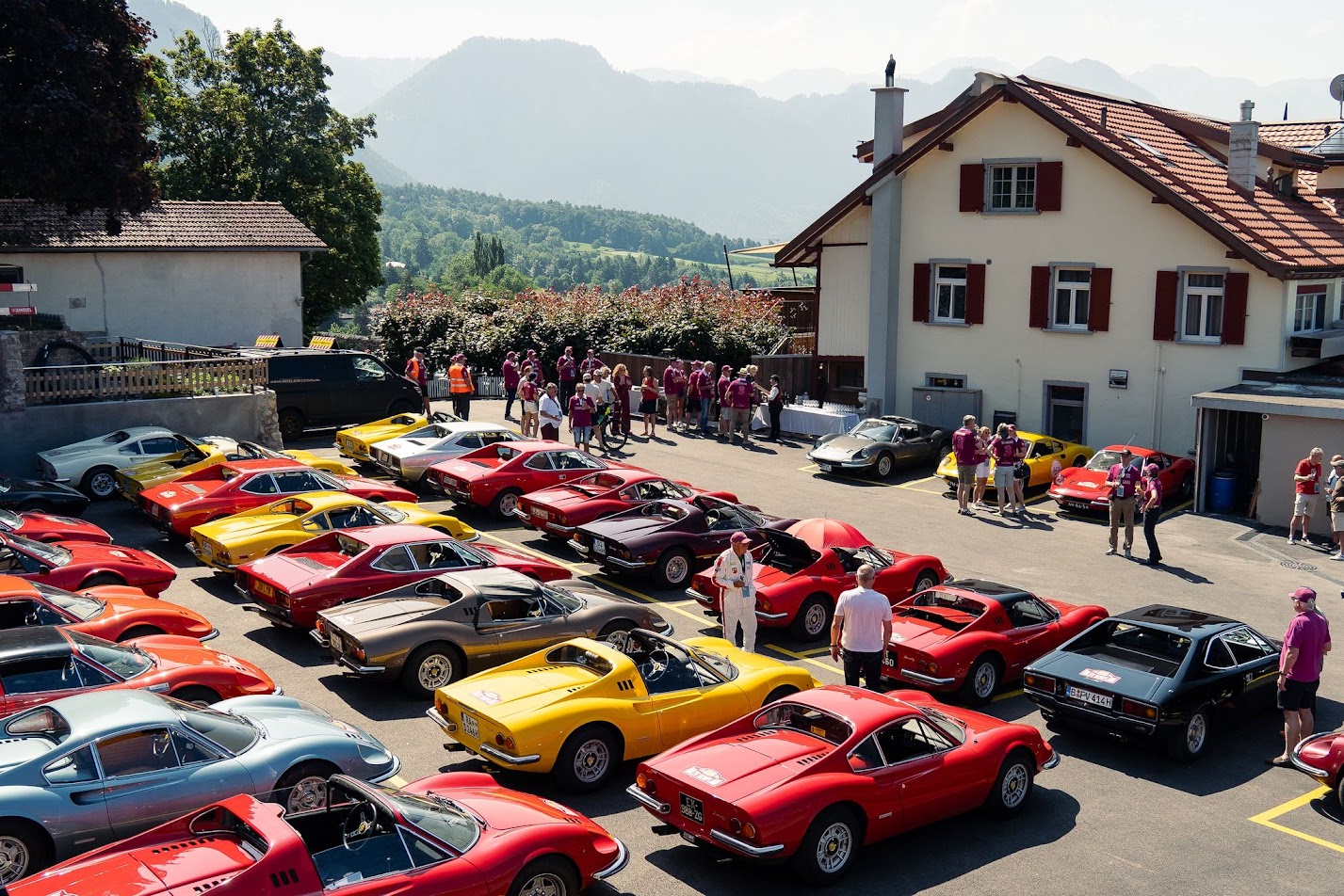 dino meeting 2025 samstag 2