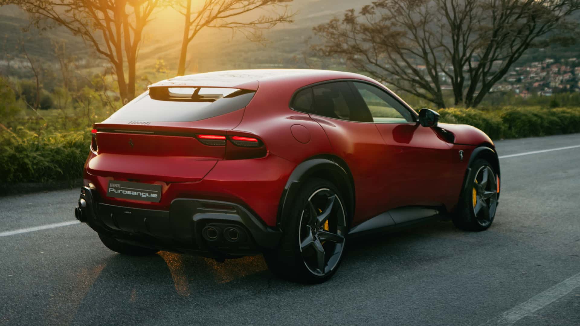 ferrari purosangue